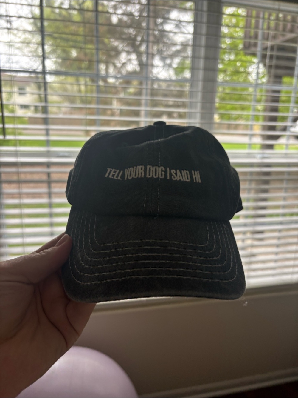 Primitives by Kathy Black 'Tell Your Dog I Said Hi' Baseball Cap - Picture 3 of 3